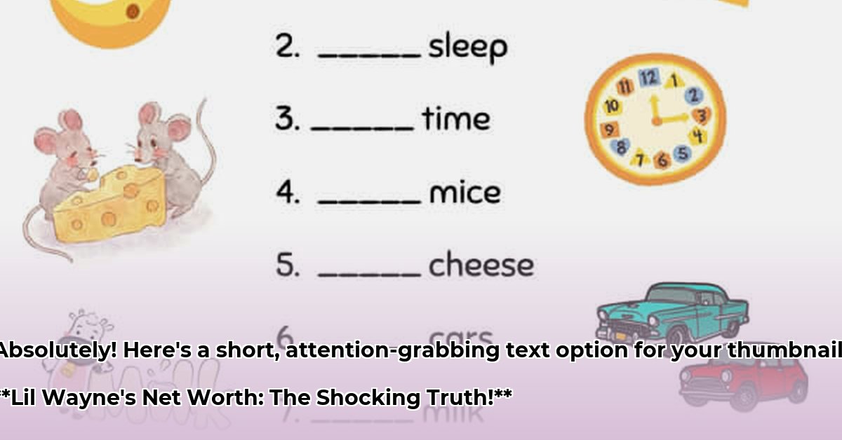 how-much-is-lil-wayne-net-worth